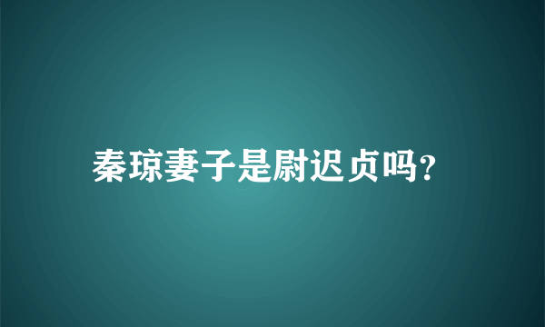 秦琼妻子是尉迟贞吗？