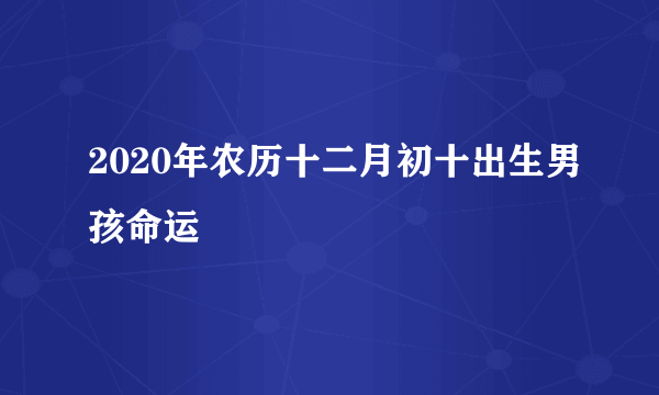 2020年农历十二月初十出生男孩命运