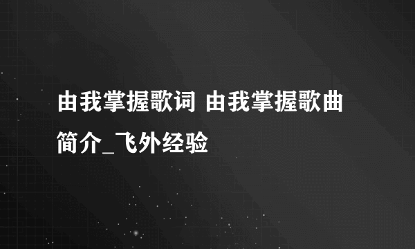 由我掌握歌词 由我掌握歌曲简介_飞外经验