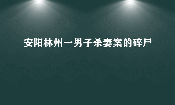 安阳林州一男子杀妻案的碎尸