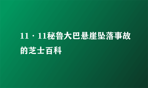 11·11秘鲁大巴悬崖坠落事故的芝士百科