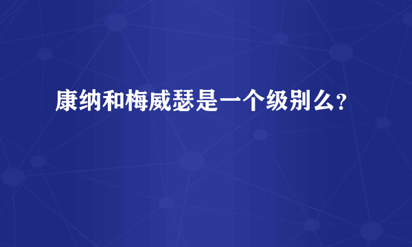 康纳和梅威瑟是一个级别么？