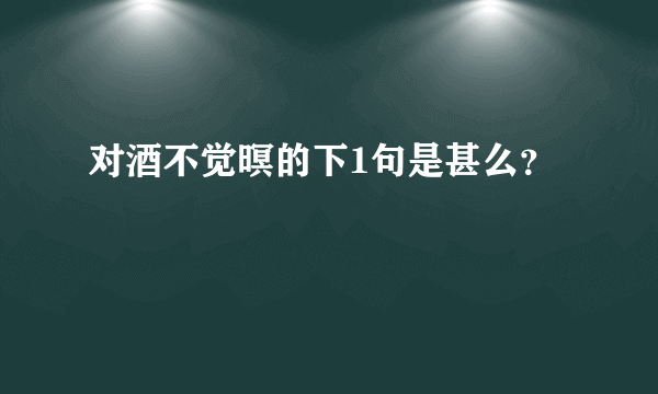 对酒不觉暝的下1句是甚么？