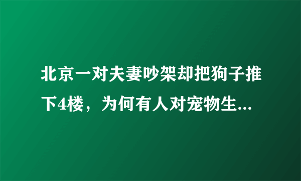 北京一对夫妻吵架却把狗子推下4楼，为何有人对宠物生命如此漠视？