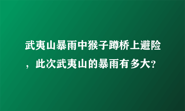 武夷山暴雨中猴子蹲桥上避险，此次武夷山的暴雨有多大？