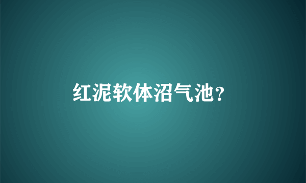 红泥软体沼气池？