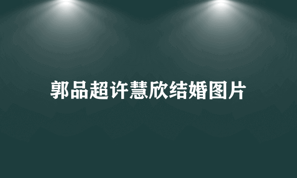 郭品超许慧欣结婚图片