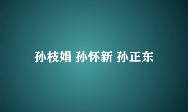 孙枝娟 孙怀新 孙正东