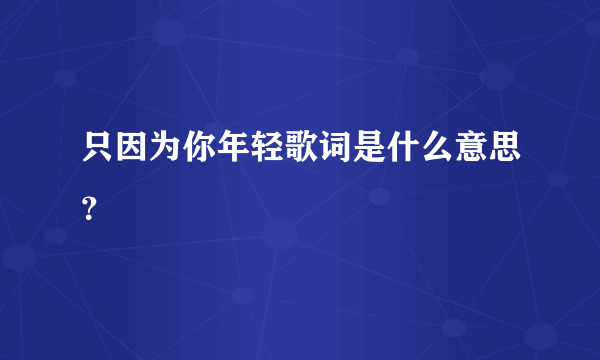 只因为你年轻歌词是什么意思？