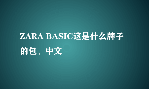 ZARA BASIC这是什么牌子的包、中文