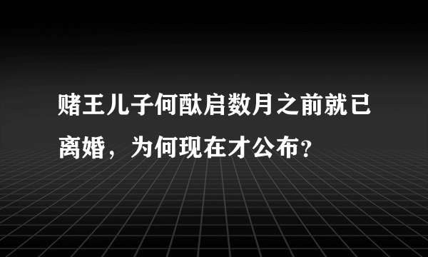 赌王儿子何酞启数月之前就已离婚，为何现在才公布？