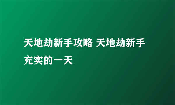 天地劫新手攻略 天地劫新手充实的一天