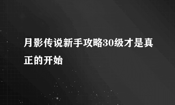 月影传说新手攻略30级才是真正的开始