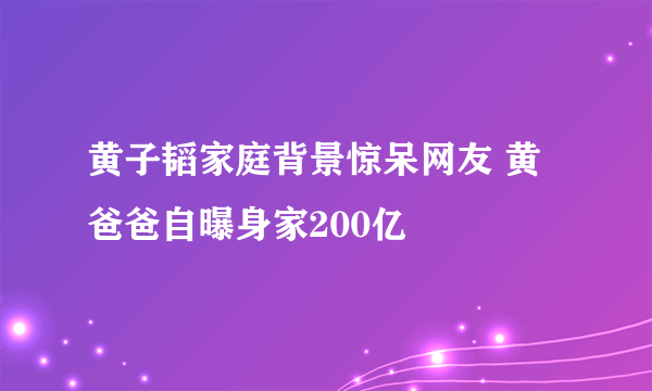 黄子韬家庭背景惊呆网友 黄爸爸自曝身家200亿