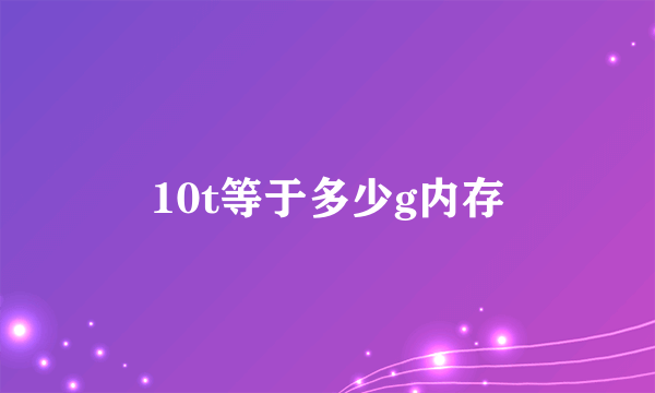 10t等于多少g内存