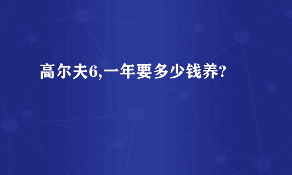 高尔夫6,一年要多少钱养?