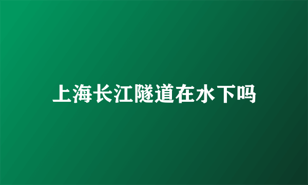 上海长江隧道在水下吗