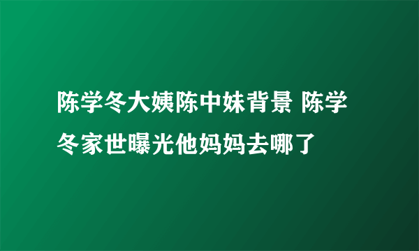 陈学冬大姨陈中妹背景 陈学冬家世曝光他妈妈去哪了