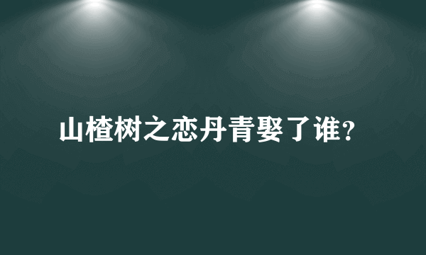 山楂树之恋丹青娶了谁？