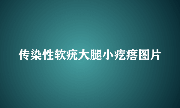 传染性软疣大腿小疙瘩图片