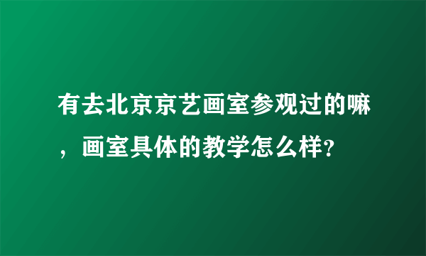 有去北京京艺画室参观过的嘛，画室具体的教学怎么样？