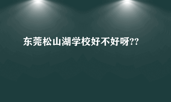 东莞松山湖学校好不好呀??