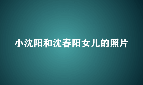 小沈阳和沈春阳女儿的照片