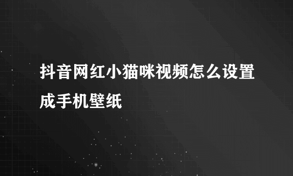 抖音网红小猫咪视频怎么设置成手机壁纸