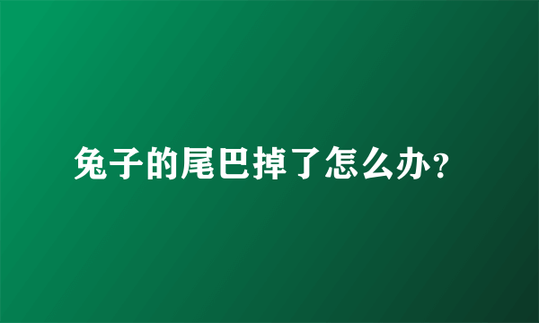 兔子的尾巴掉了怎么办？