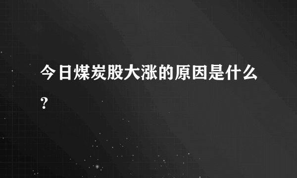 今日煤炭股大涨的原因是什么？