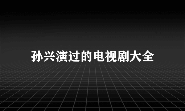 孙兴演过的电视剧大全