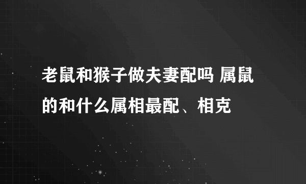 老鼠和猴子做夫妻配吗 属鼠的和什么属相最配、相克