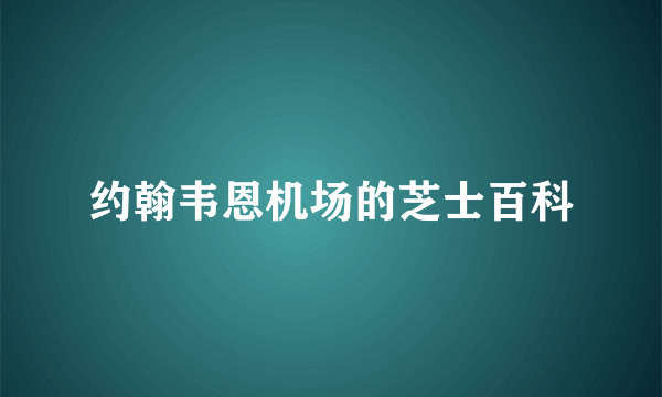 约翰韦恩机场的芝士百科