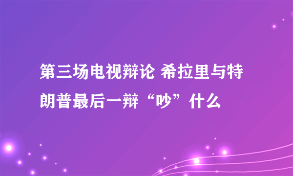 第三场电视辩论 希拉里与特朗普最后一辩“吵”什么