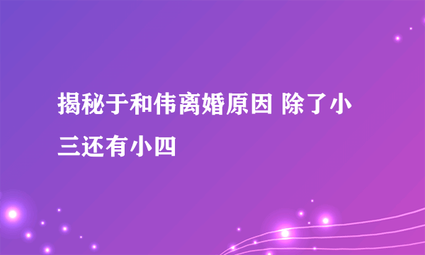 揭秘于和伟离婚原因 除了小三还有小四