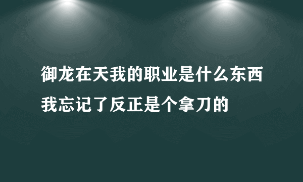 御龙在天我的职业是什么东西我忘记了反正是个拿刀的