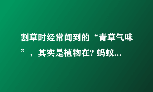 割草时经常闻到的“青草气味”，其实是植物在? 蚂蚁庄园小课堂5月21日答案