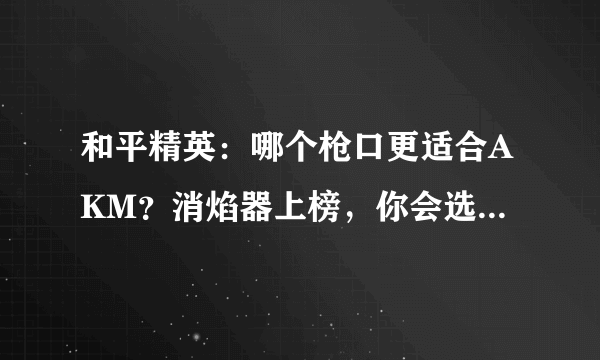 和平精英：哪个枪口更适合AKM？消焰器上榜，你会选择哪一个？