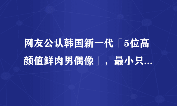 网友公认韩国新一代「5位高颜值鲜肉男偶像」，最小只有17岁