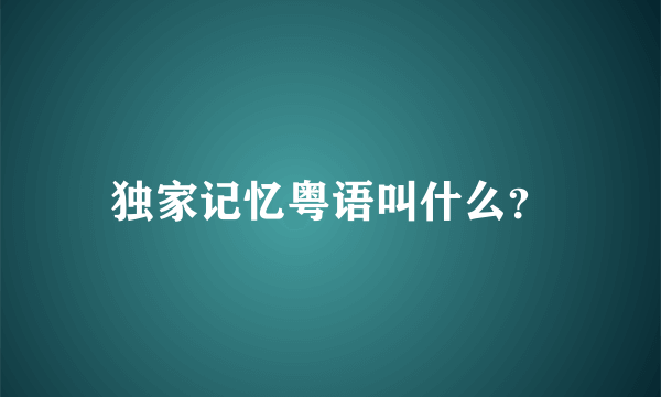 独家记忆粤语叫什么？