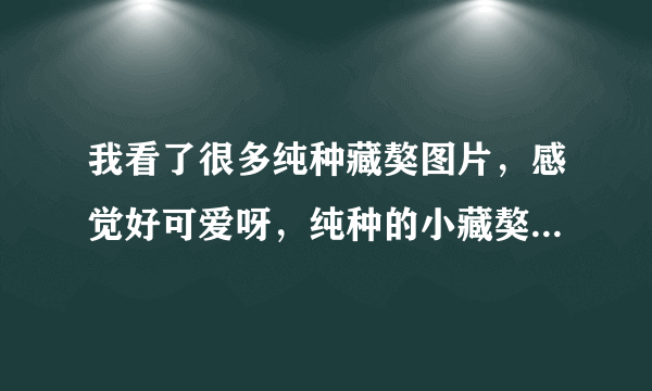 我看了很多纯种藏獒图片，感觉好可爱呀，纯种的小藏獒都有什么价格？