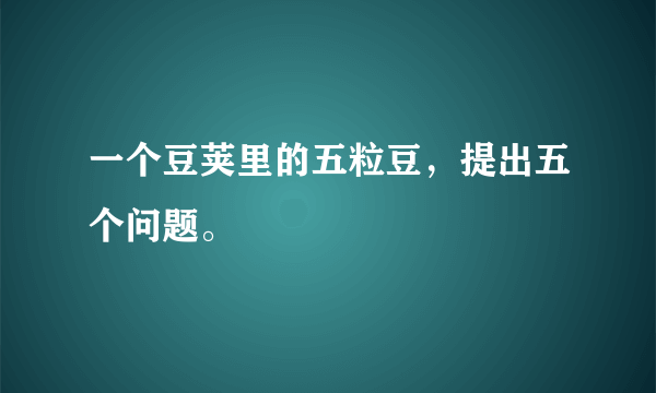 一个豆荚里的五粒豆，提出五个问题。