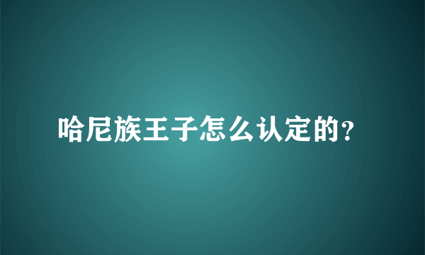 哈尼族王子怎么认定的？