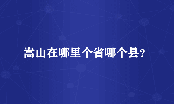 嵩山在哪里个省哪个县？