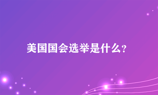 美国国会选举是什么？