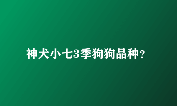 神犬小七3季狗狗品种？