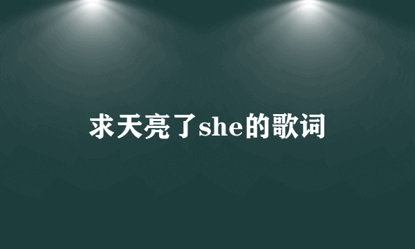 求天亮了she的歌词