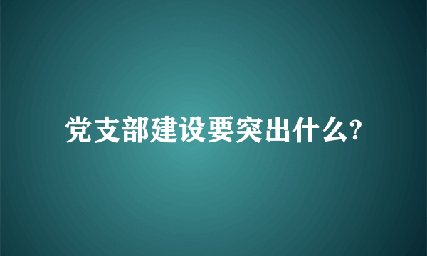 党支部建设要突出什么?