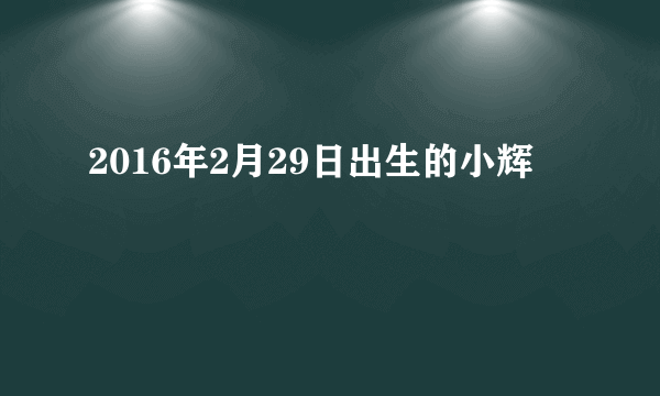 2016年2月29日出生的小辉