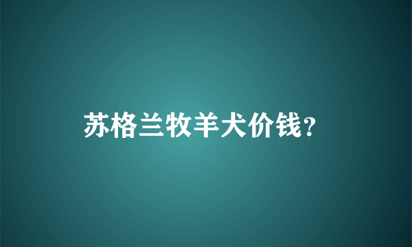 苏格兰牧羊犬价钱？